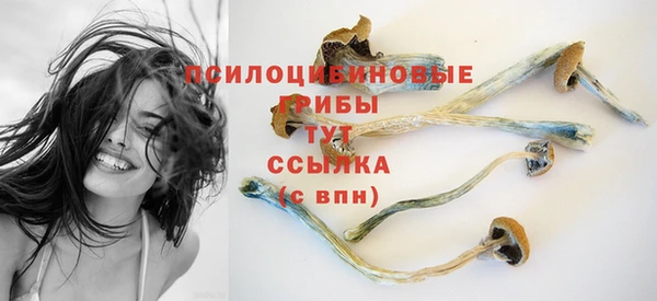 круглые Алзамай