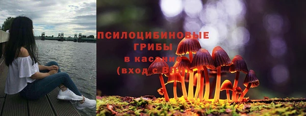 СК Алексеевка
