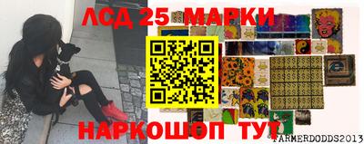 мяу мяу мука Азнакаево