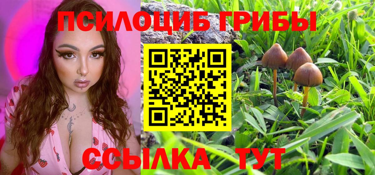 Псилоцибиновые грибы ЛСД Волхов