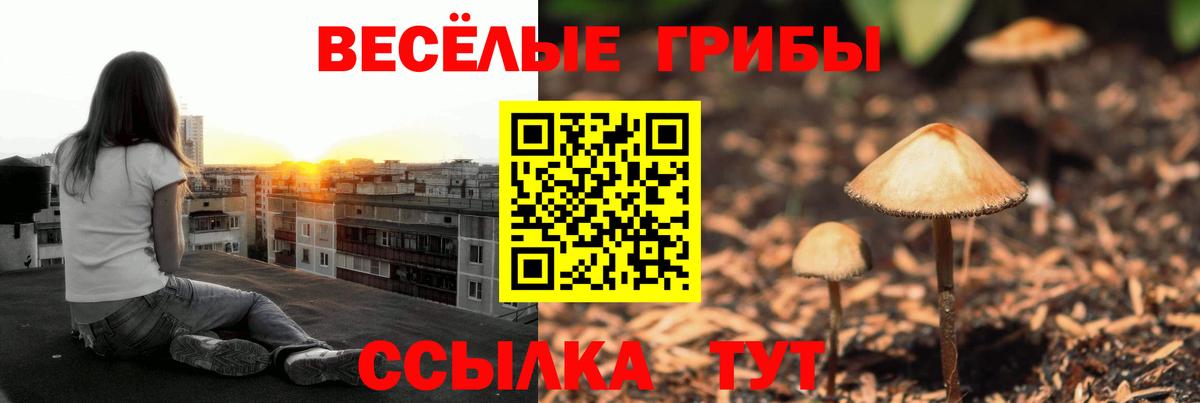 где можно купить наркотик  Галлюциногенные грибы Magic Shrooms  Волхов  Вход с VPN  Галлюциногенные грибы Magic Shrooms 