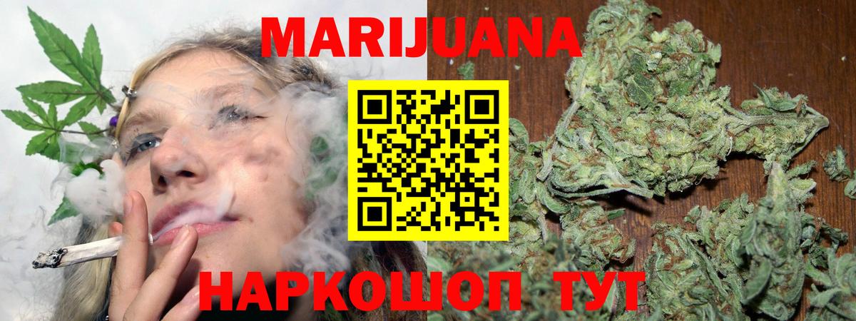 Волхов  Бошки марихуана планчик  Вход с VPN  Канабис SATIVA & INDICA  Конопля гибрид  МАРИХУАНА Bruce Banner 